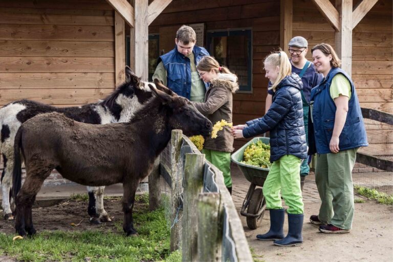 Rectangle 15 optimized