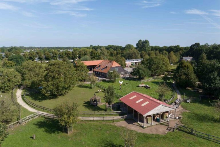 Rectangle 19 optimized