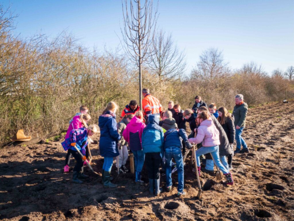 Rectangle 24 optimized