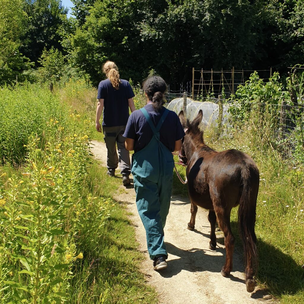 E5e5ea14 707d 4a75 a595 9a271ab42d08