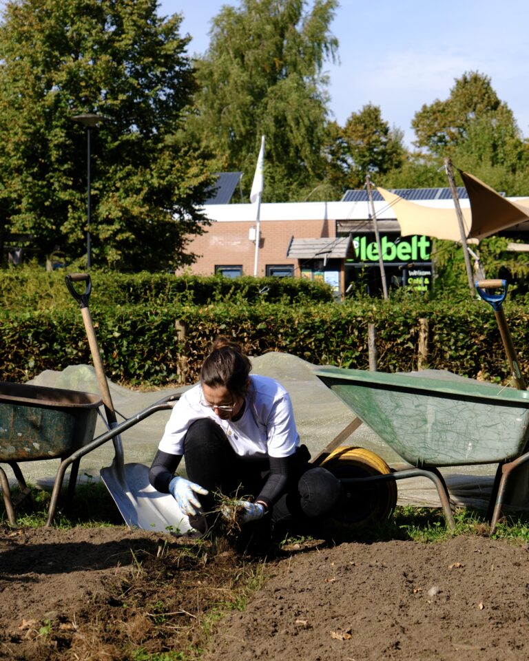 Vrijwilliger