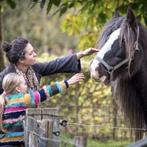 Paard Amy